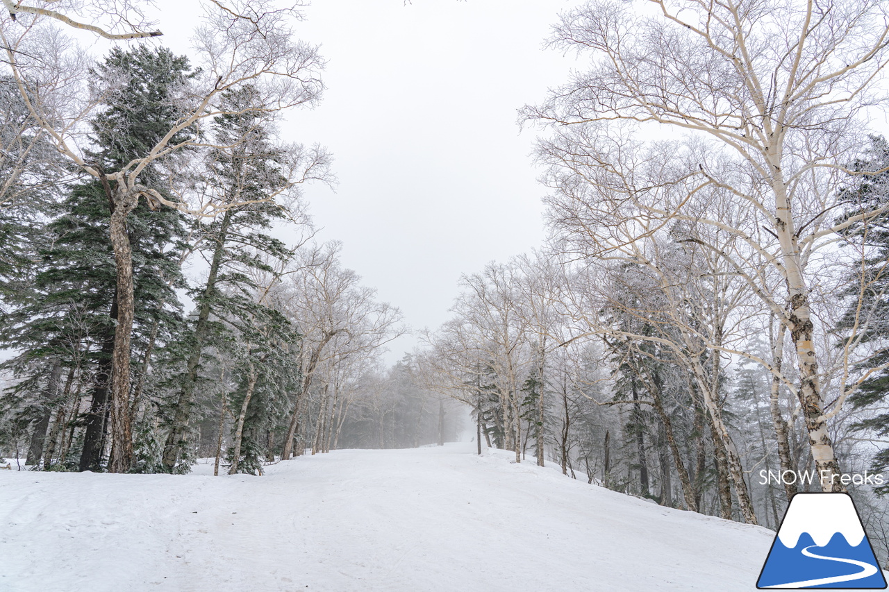 大雪山層雲峡・黒岳ロープウェイスキー場｜真っ白な『霧』に包まれた雲上のゲレンデ。春スキー＆スノーボードを楽しむなら、今がおススメです(^^)v